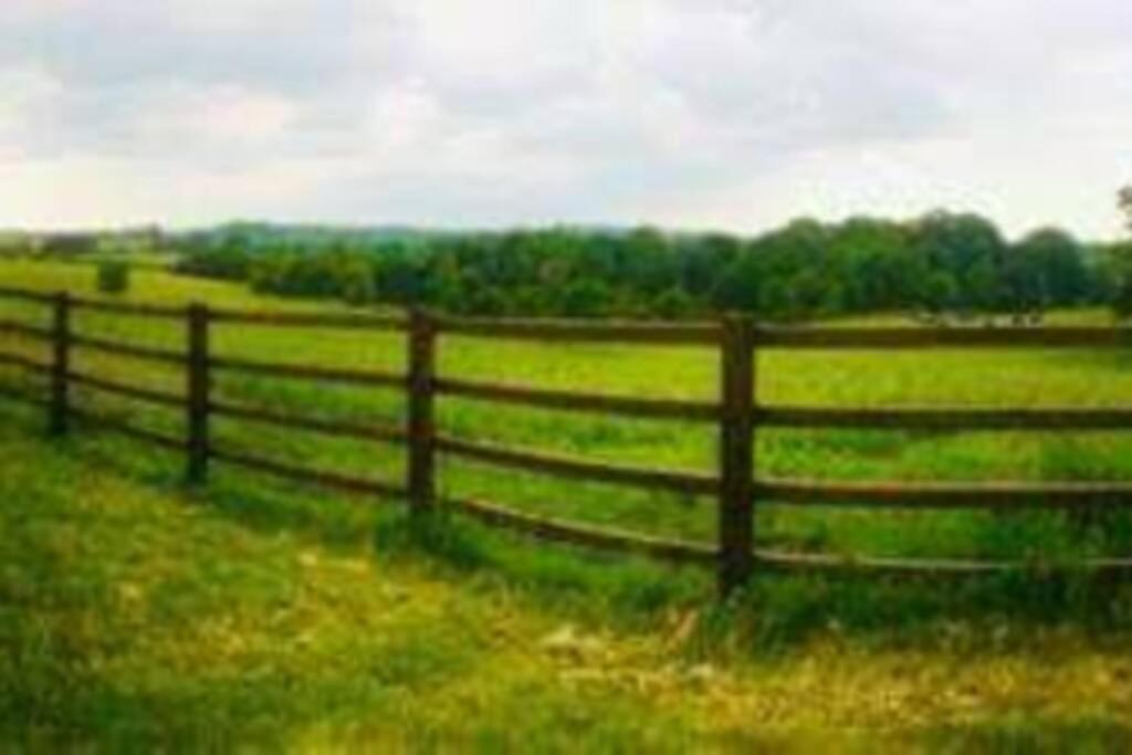 Malthouse Farm Cottage Carriage Dilhorne Esterno foto